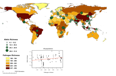 The diversity of HLA genes is partly related to the distribution of pathogen richness in the world