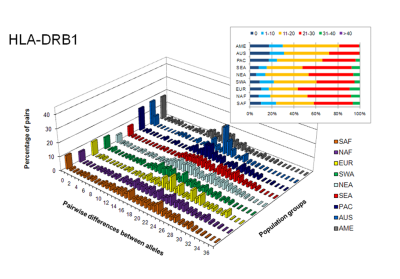 The high number of nucleotide differences between HLA alleles possibly confers higher fitness to the heterozygous individuals against pathogens