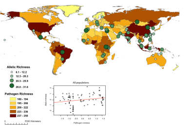 The diversity of HLA genes is partly related to the distribution of pathogen richness in the world 